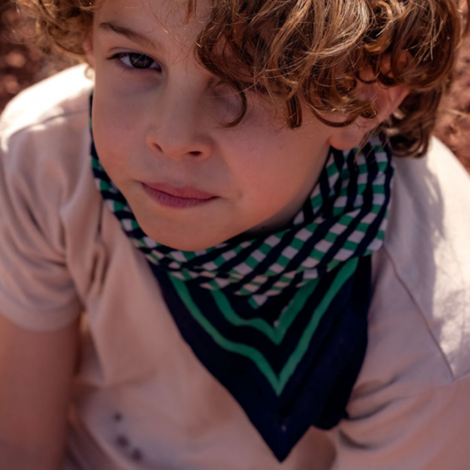 泰拉格紋-藏青藍蕨綠雙色 | 領巾