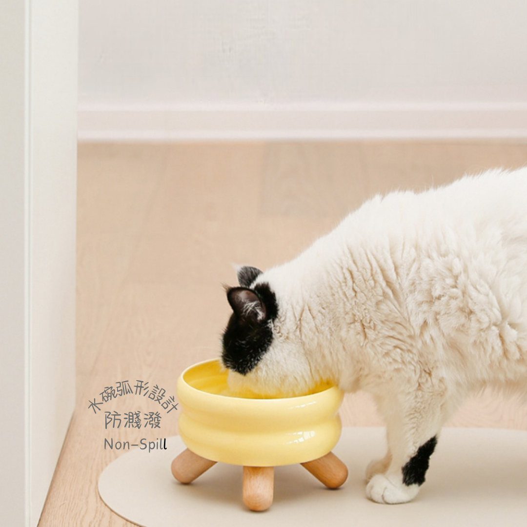 Meoof寵物陶瓷天然木架分體式護頸猫狗糧碗食物碗水碗水兜