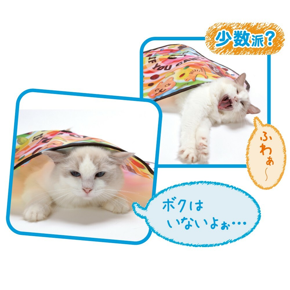 日本貓壹Necoichi 來抓我吧2！電動躲貓貓玩具