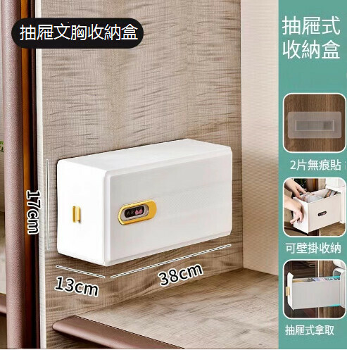 熱推簡約壁掛式衣櫃抽屜式收納盒【文胸收納盒】 