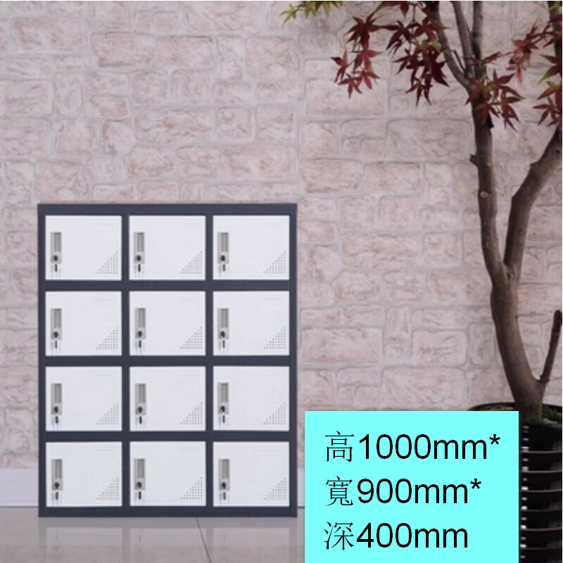 Popular lockable locker [small twelve doors] [thickness 1.0mm]