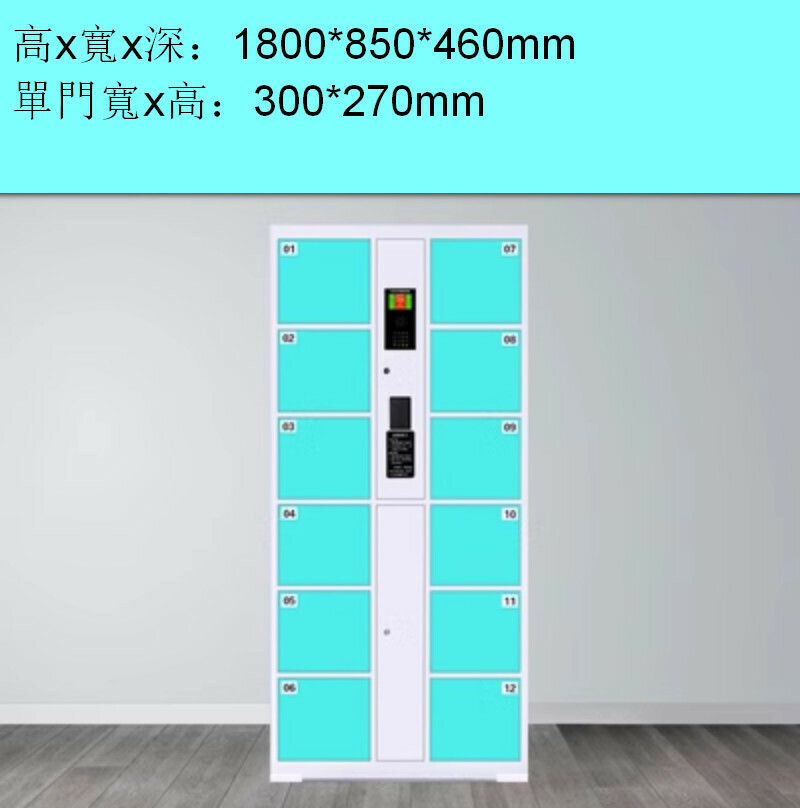 Popular electronic locker [12-door smart card swiping] [sky blue]