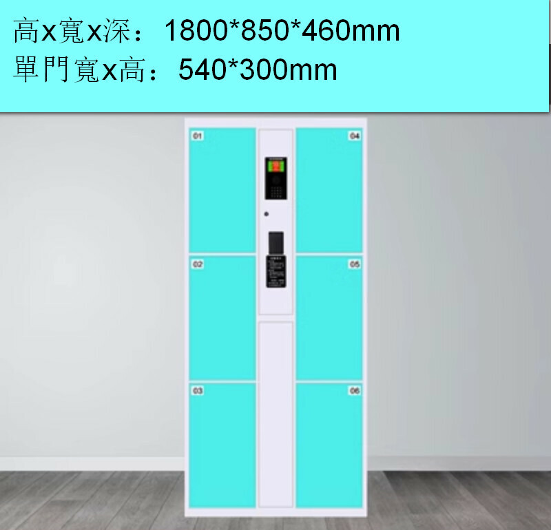 爆款電子儲物櫃【6門智慧刷卡】【天藍色】