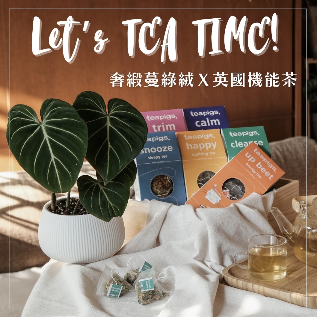 【聯名限定】奢緞蔓綠絨 Ｘ 英國Teapigs四季機能茶