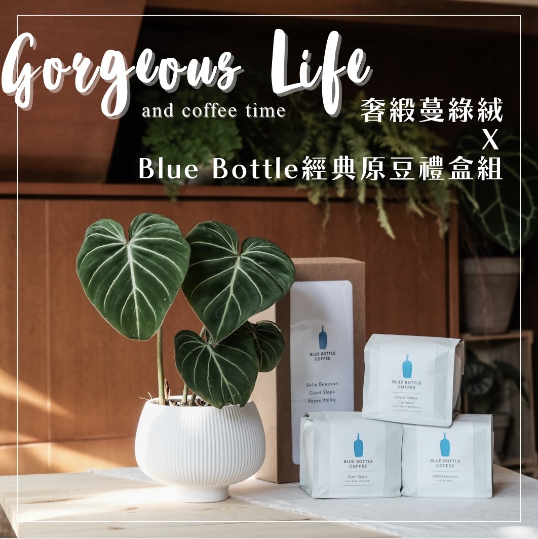 【聯名限定】奢緞蔓綠絨 Ｘ Blue Bottle經典原豆禮盒組(3入)