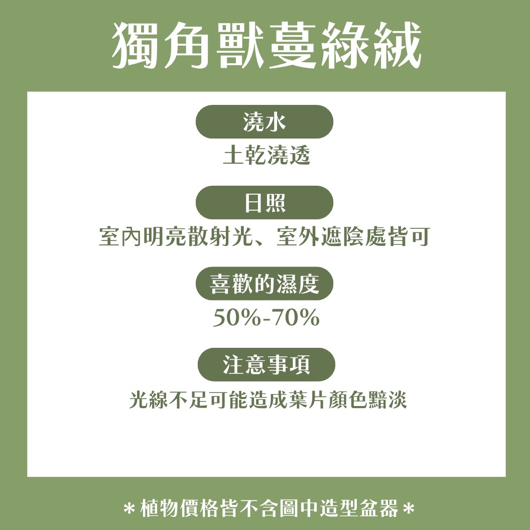 【𝐂𝐡𝐞𝐧’𝐬 𝐏𝐥𝐚𝐧𝐭限定聯名】獨角獸蔓綠絨