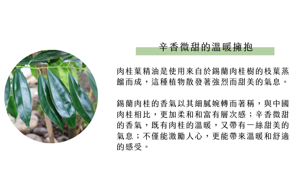 辛香微甜的溫暖擁抱