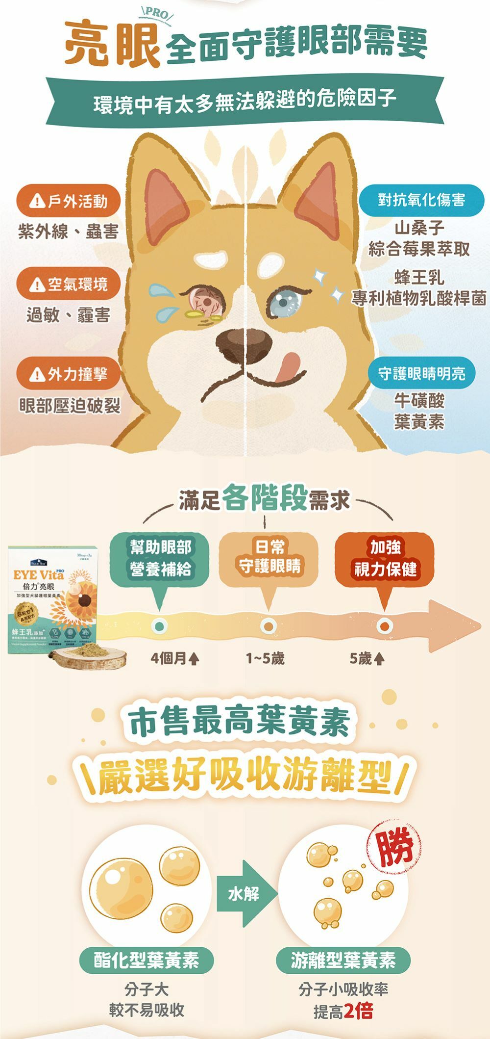 亮眼PRO全面守護眼部需要，對抗氧化傷害、堅固免疫防護罩、守護眼睛明亮