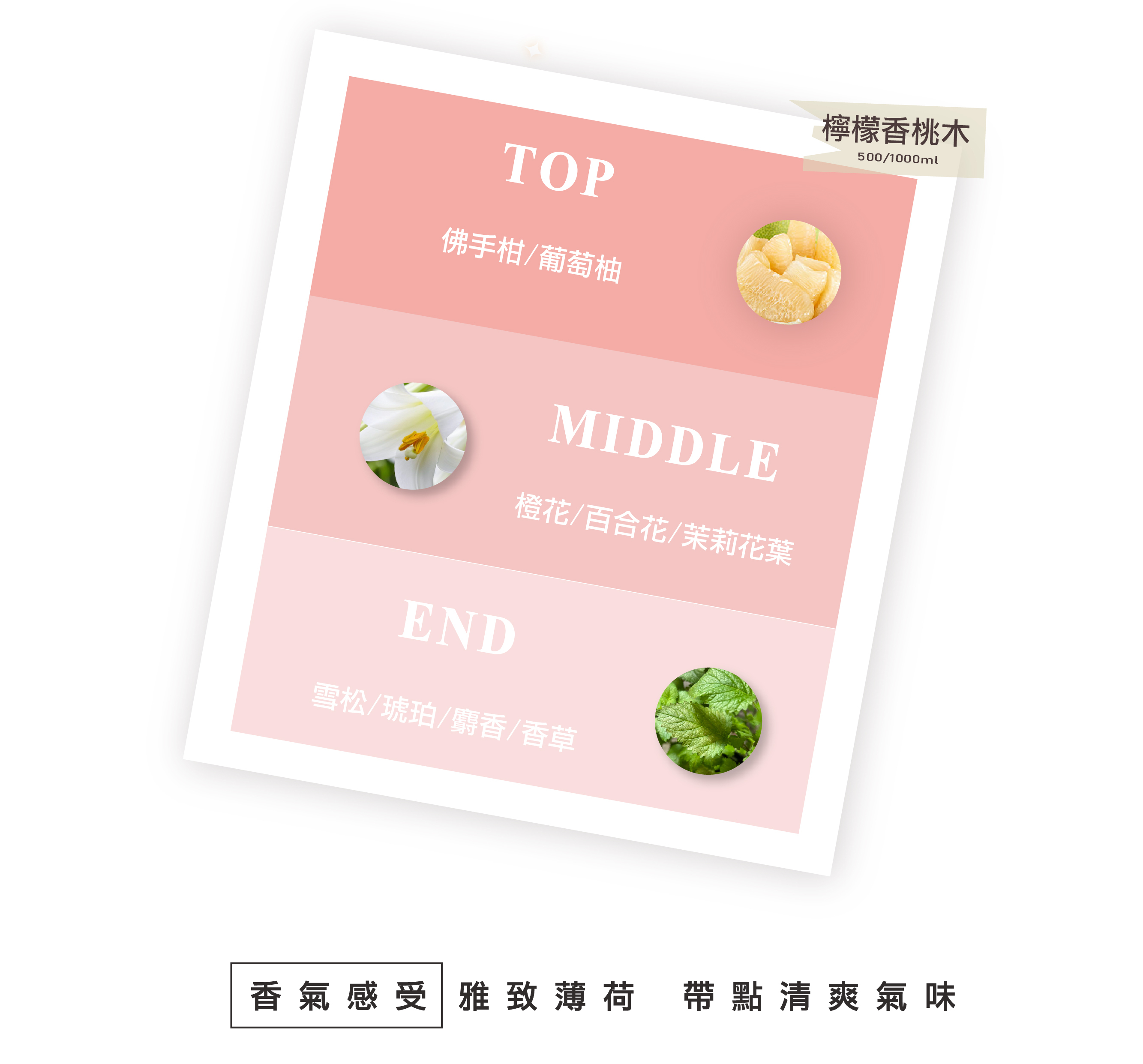 涼感洗髮精,頭皮涼感洗髮精,控油洗髮精,燙染洗髮精,染燙洗髮精,毛躁洗髮精,涼感洗髮精,控油洗髮,蓬鬆洗髮精,髮根蓬鬆洗髮精,無矽靈洗髮精,沙龍洗髮精,有機洗髮精,天然洗髮精,植萃洗髮精,本草洗髮精,草本洗髮精,髮廊推薦,沙龍設計師推薦,控油洗髮精推