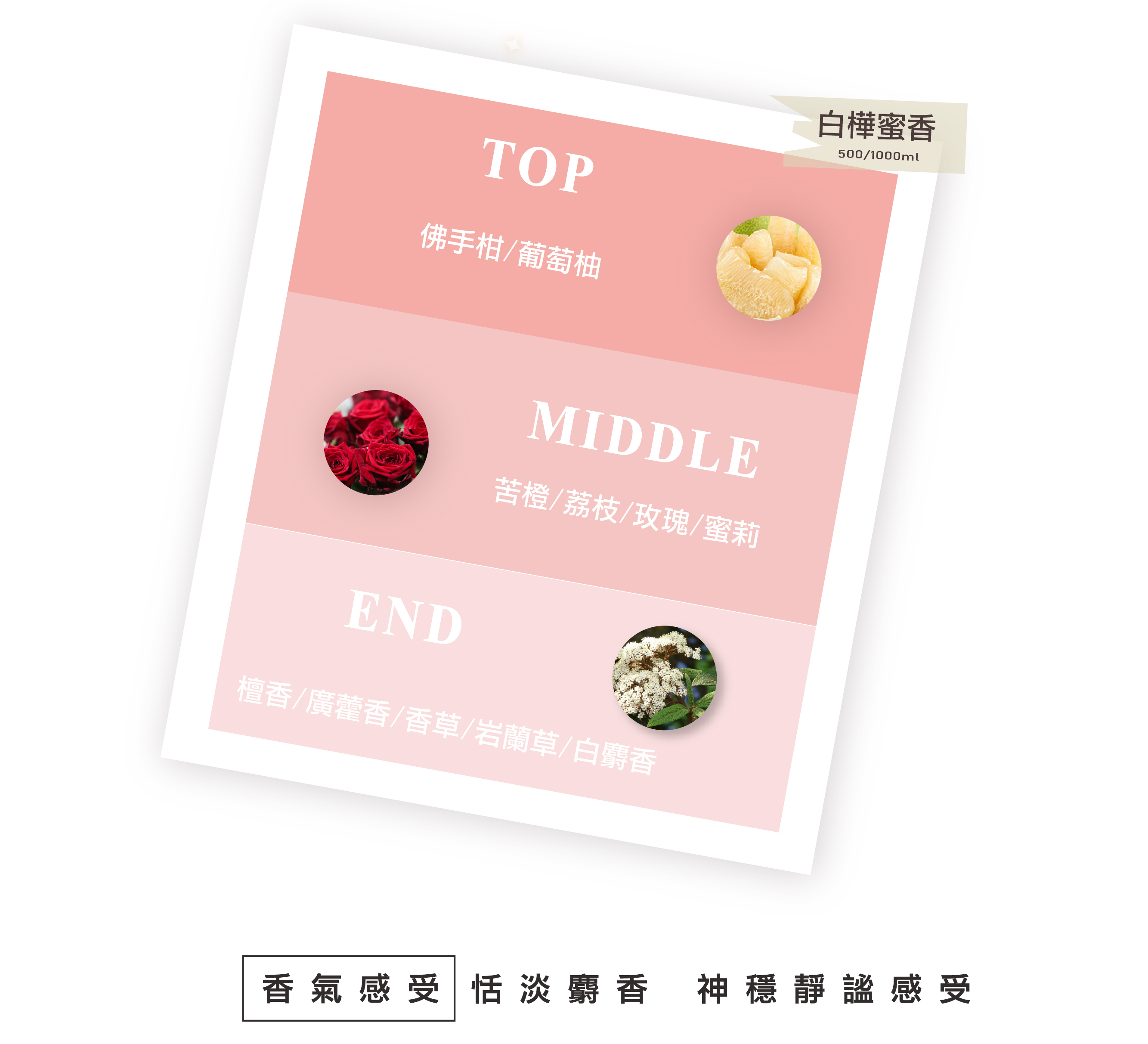 保濕洗髮精,護髮洗髮精,保濕洗髮精,白樺洗髮精,護色洗髮精,無矽靈洗髮精,沙龍洗髮精,燙染洗髮精,染燙洗髮精,毛躁洗髮精,有機洗髮精,天然洗髮精,植萃洗髮精,本草洗髮精,草本洗髮精,髮廊推薦,沙龍設計師推薦,保濕洗髮精推薦,護色洗髮精推薦,洗髮精推薦