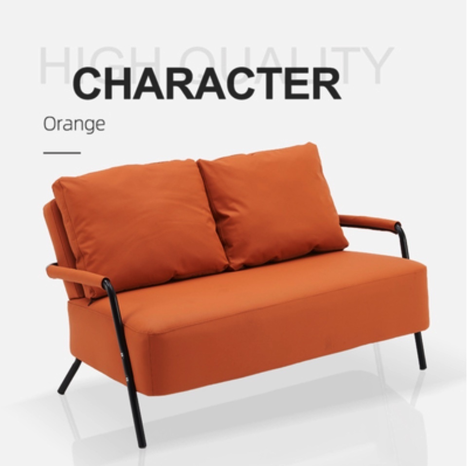 Hot Recommended Double Small Apartment Sofa (Sunset Willow-Scratch Resistant Cat Claw Leather) (Double, 2 Pillows)