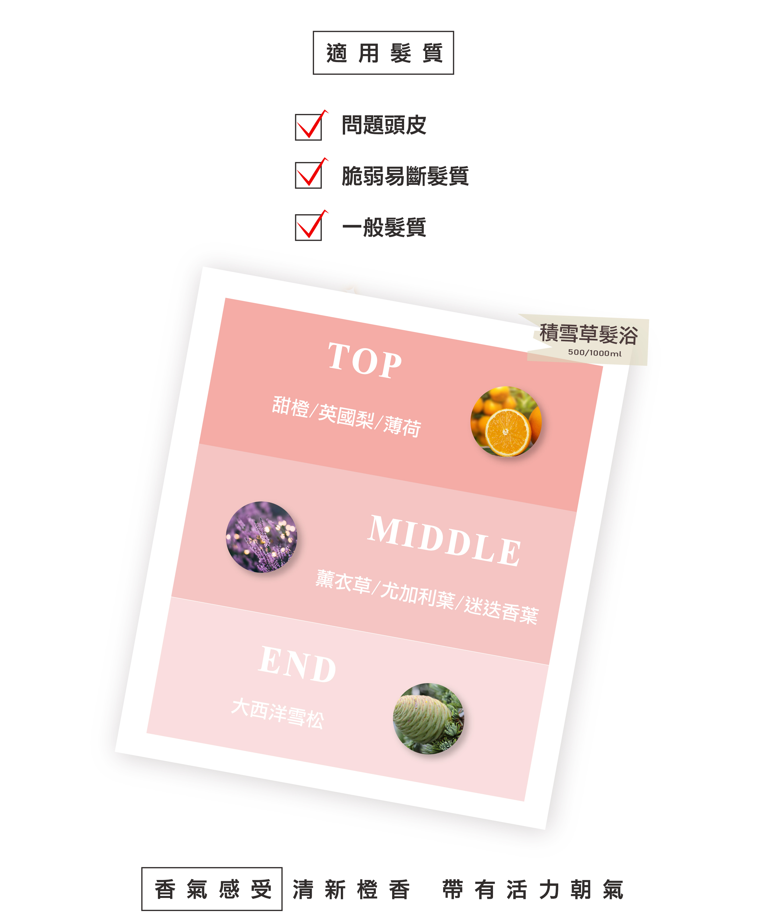 積雪草洗髮精,頭皮洗髮精,深層洗髮精,控油洗髮精,去屑洗髮精,無矽靈洗髮精,沙龍洗髮精,燙染洗髮精,染燙洗髮精,毛躁洗髮精,有機洗髮精,天然洗髮精,植萃洗髮精,本草洗髮精,草本洗髮精,髮廊推薦,沙龍設計師推薦,控油去屑洗髮精推薦,控油洗髮精推薦,洗髮
