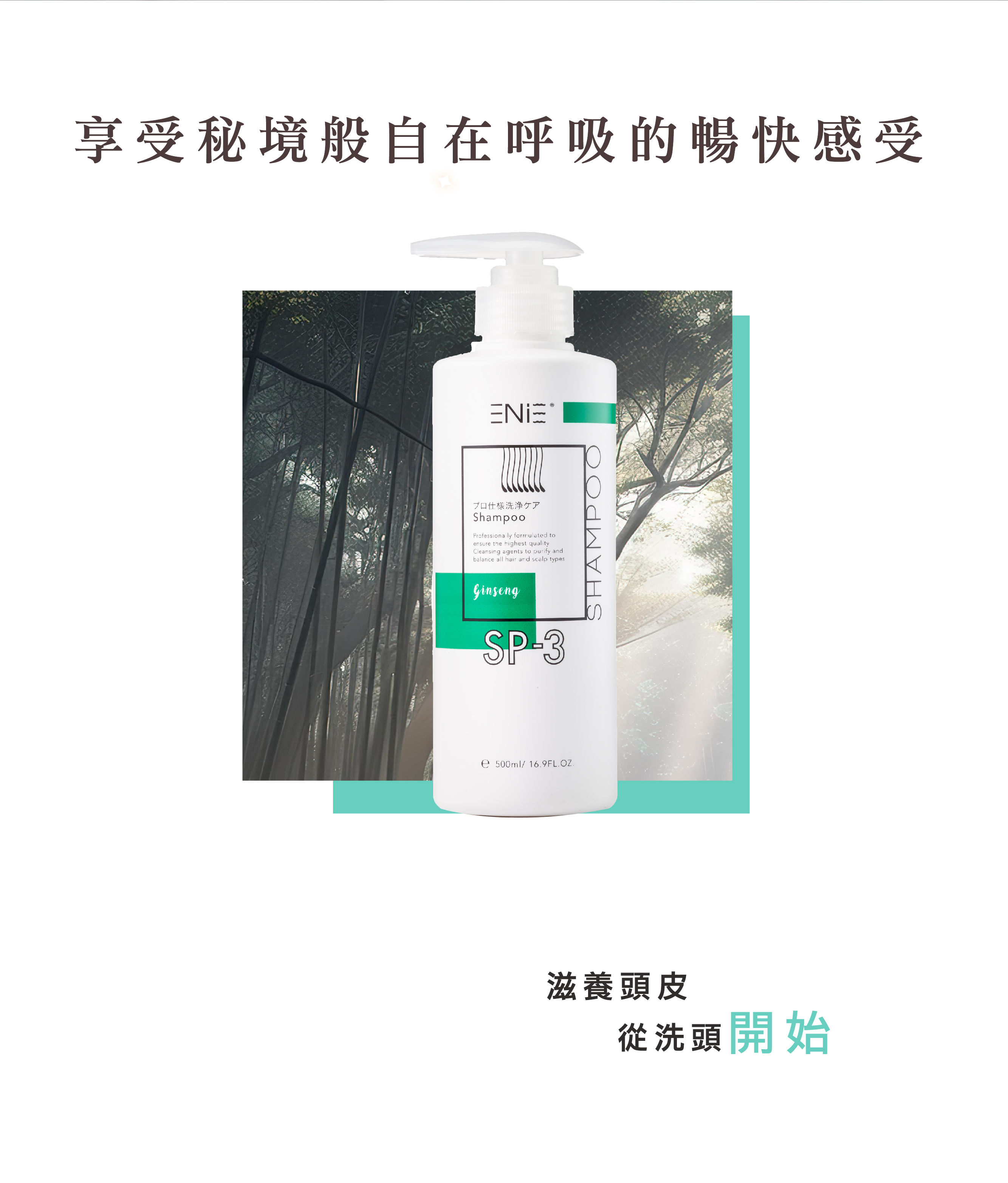 強健髮根,強健髮根洗髮精,強健髮根食物,強髮健,毛根素人蔘精油洗髮精,ENIE雅如詩,控油洗髮精,去屑洗髮精,無矽靈洗髮精,人蔘洗髮精,精油洗髮精,沙龍洗髮精,天然洗髮精,植萃洗髮精,本草洗髮精,草本洗髮精,髮廊推薦,沙龍設計師推薦,控油去屑洗髮精