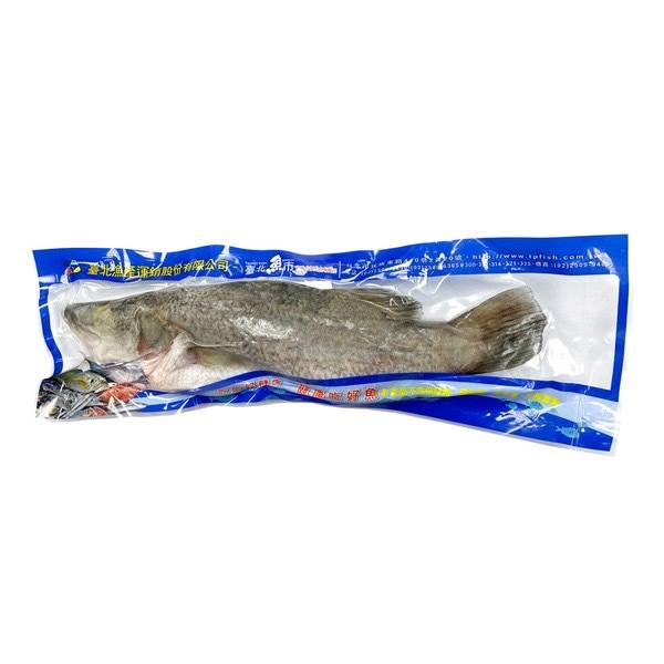 金目鱸魚 500g~550g