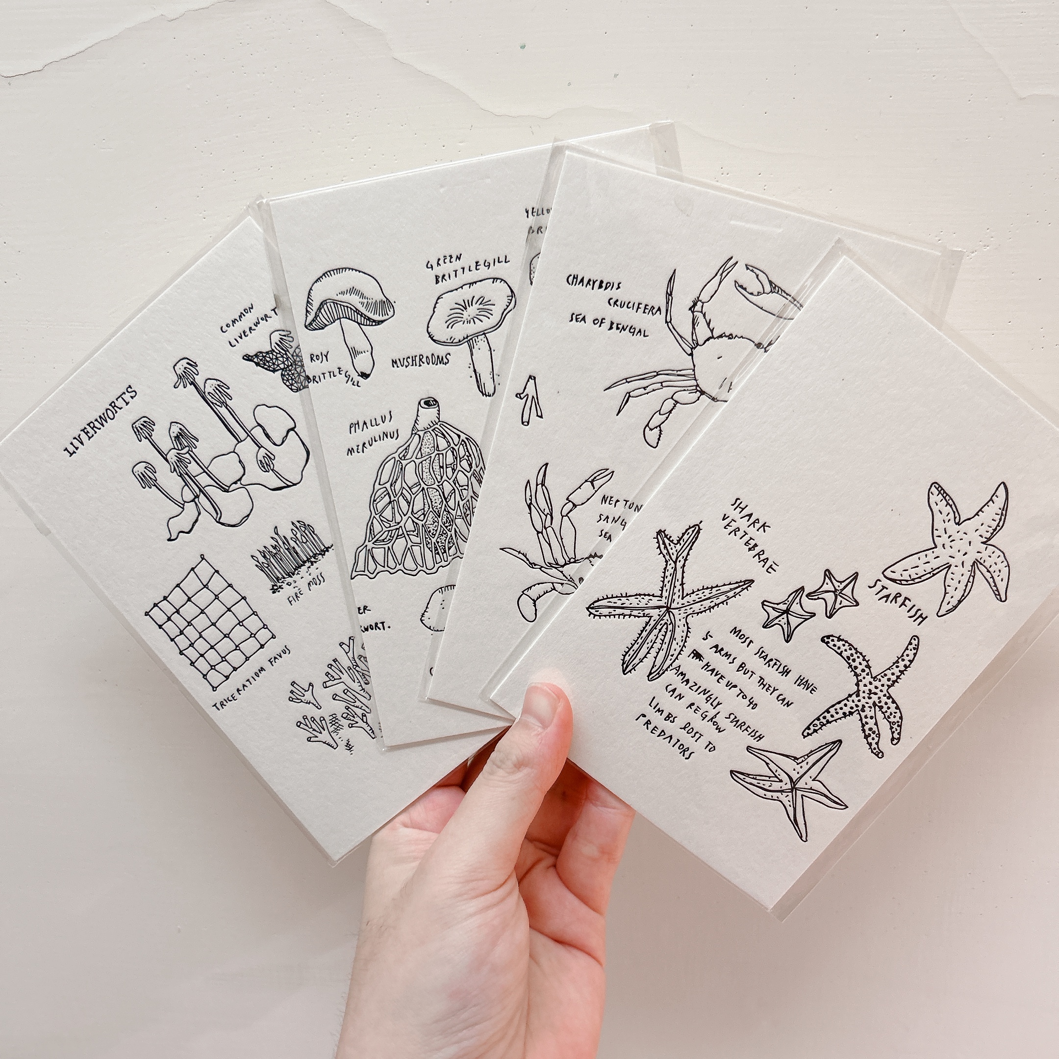 活版明信片｜插畫小農 臺灣