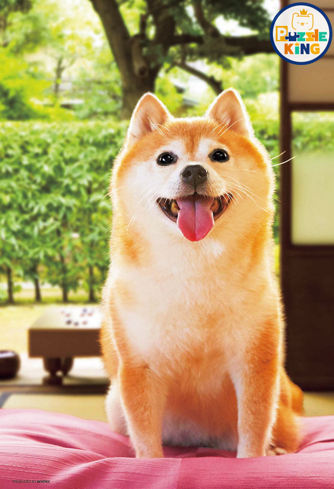 先生/女士要去嗎？