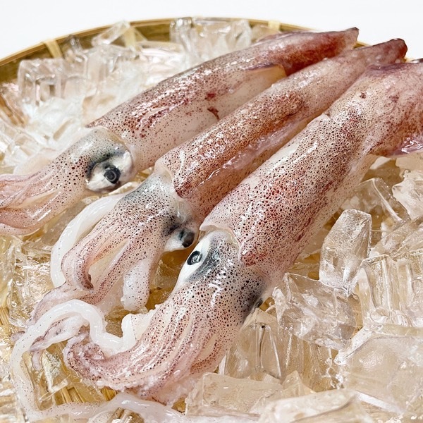 澎湖鮮凍小管 (小卷) 350g~400g