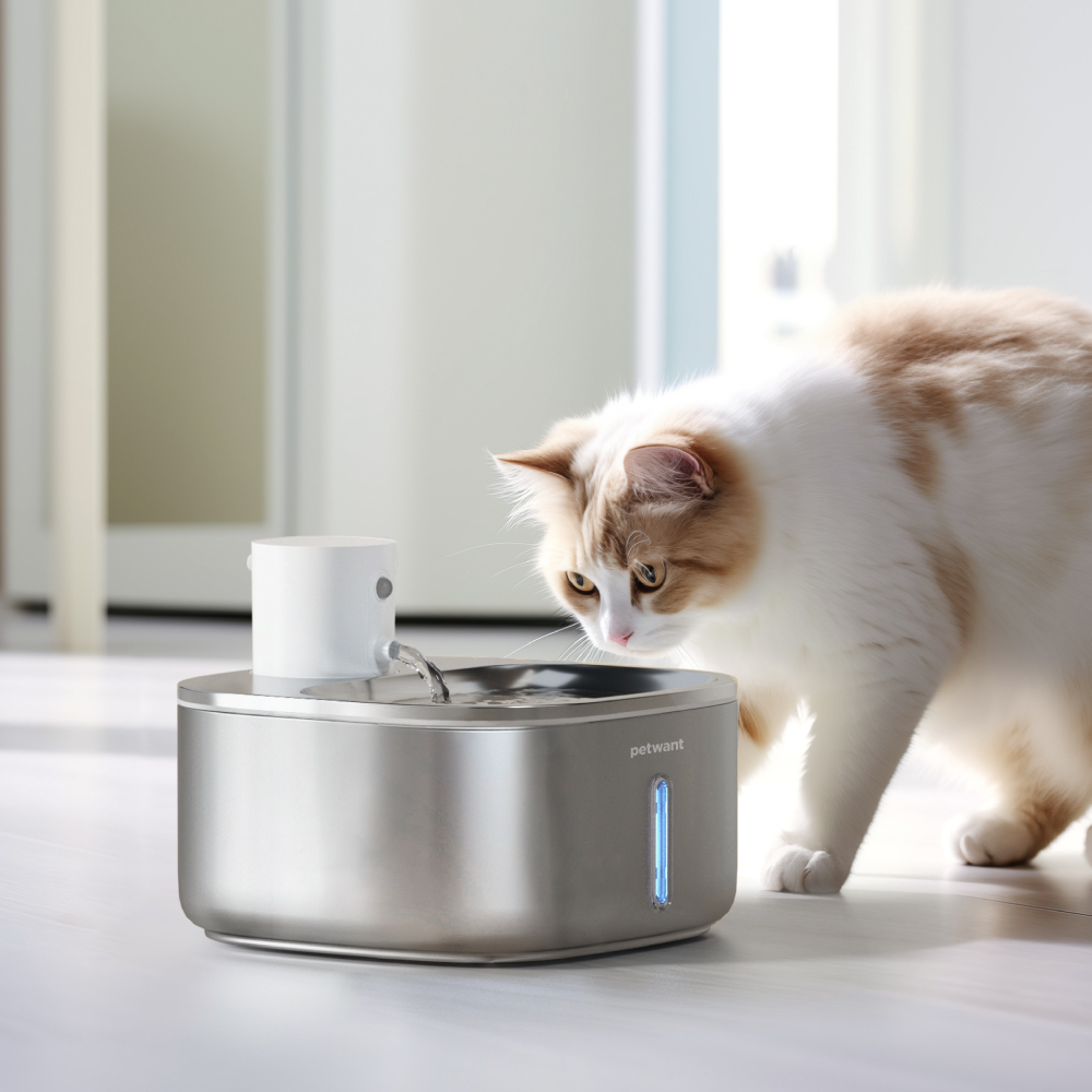 【線上寵物展】不鏽鋼無線感應飲水機+濾心一年份 W4-S1 PETWANT