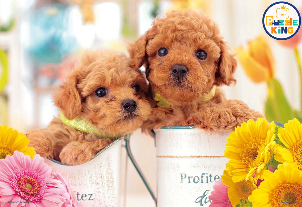 愛！ (迷你尺寸)