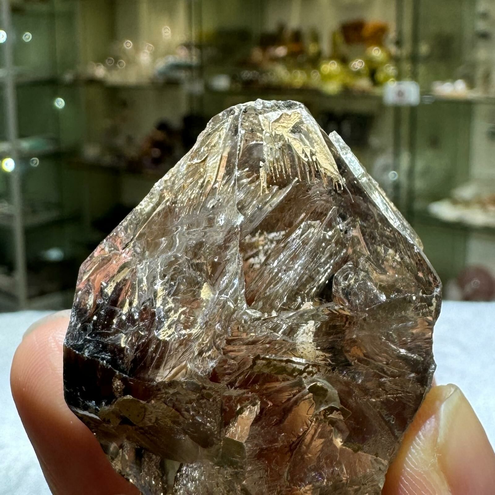 骸骨✨南非閃靈鑽