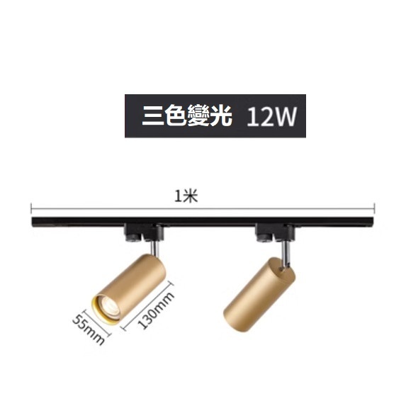 熱賣軌道吸頂燈（金色2*12W三色變光）