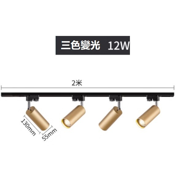 熱賣軌道吸頂燈（金色4*12W三色變光（2米軌道）