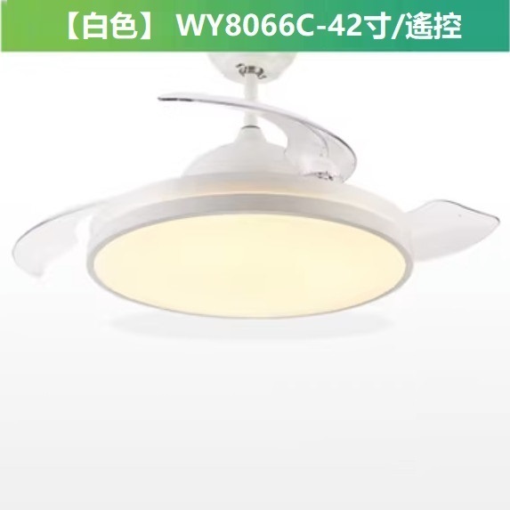 熱賣現代簡約風扇燈（C款 42寸變光 遙控）