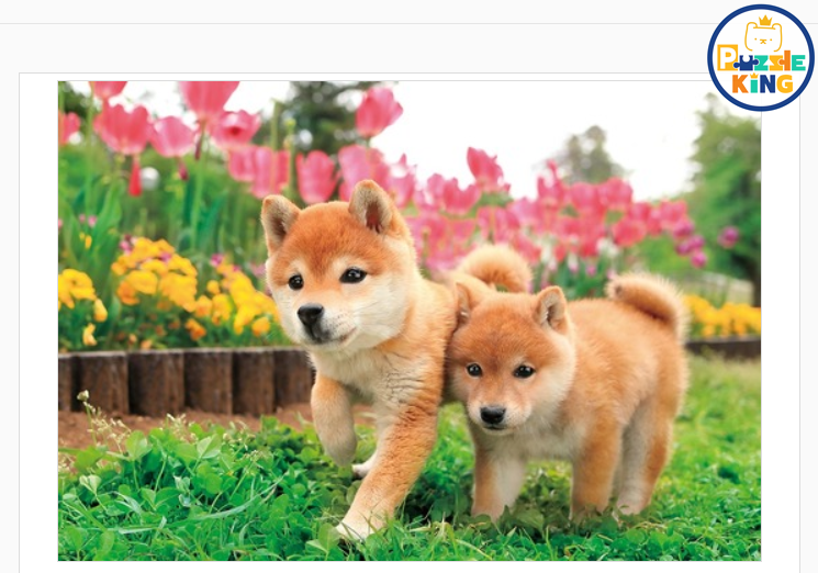 我要和你一起奔跑