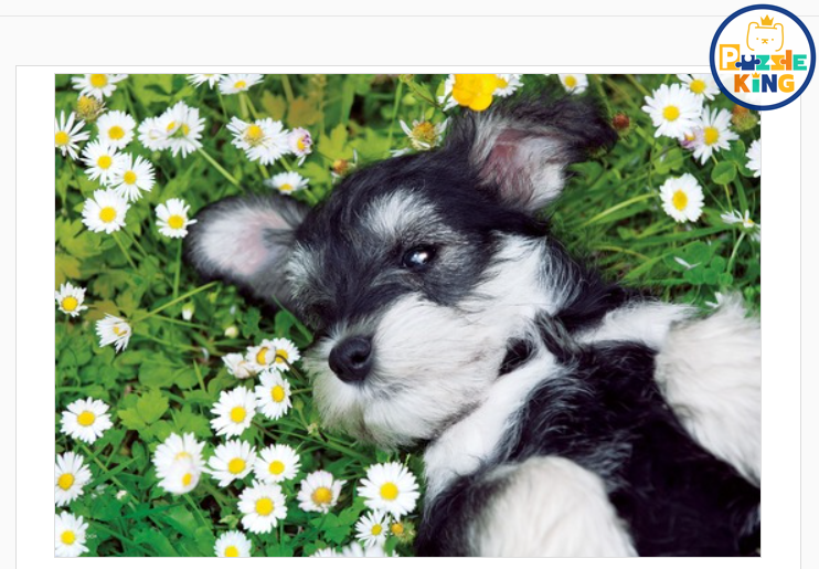 砰地一聲抓住我