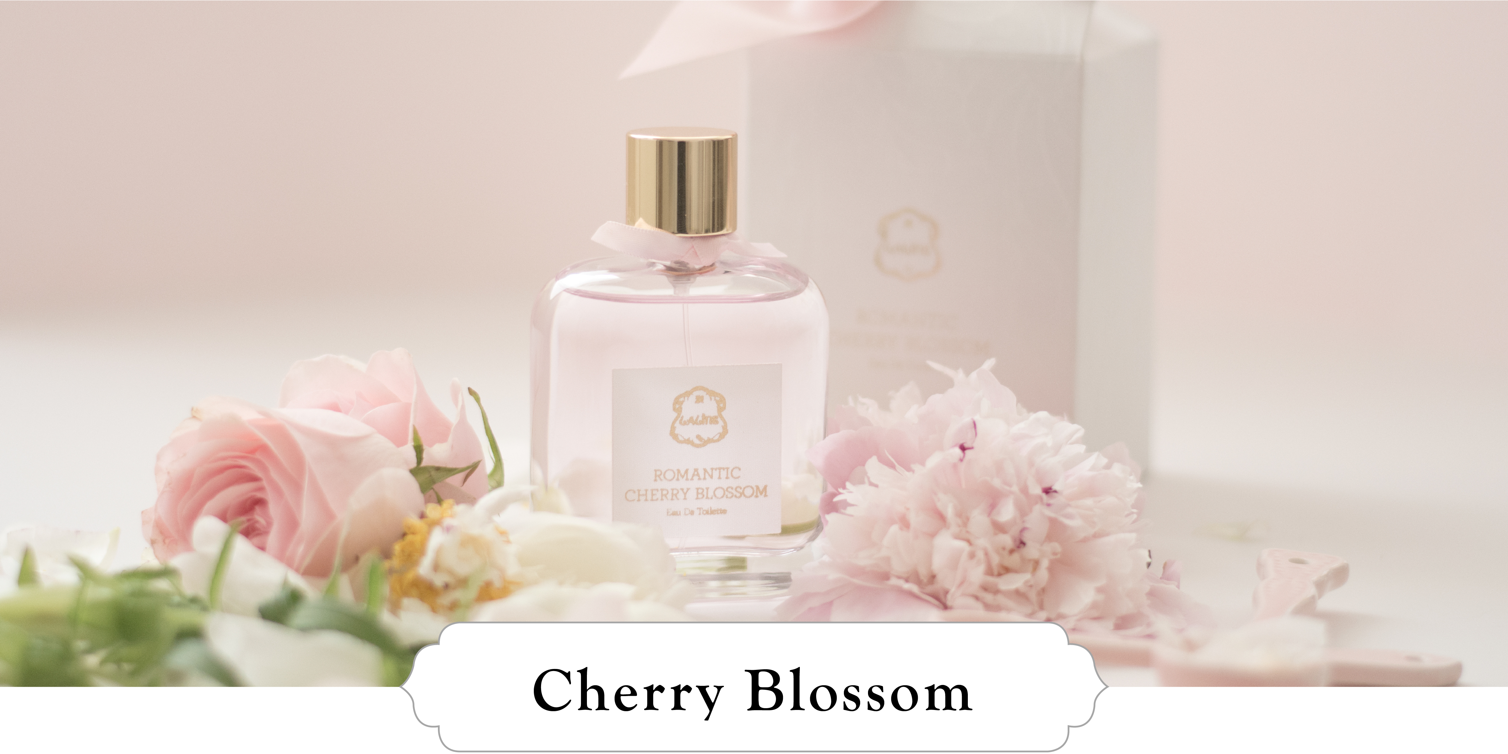 Laline萊林｜ 櫻花系列