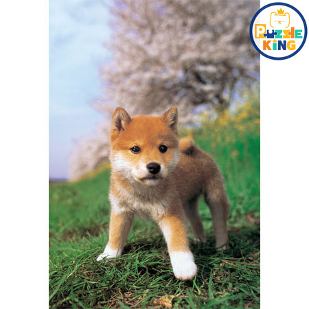 我是個小女孩！(大件尺寸)