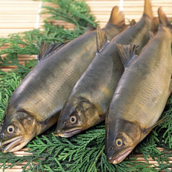 香魚  310g~360g (2尾/包)