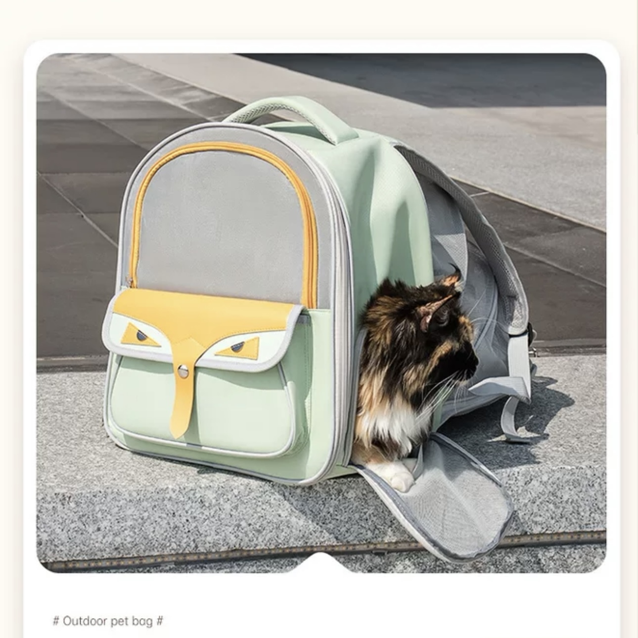 DODOPET宠物透气双肩包  可拓展