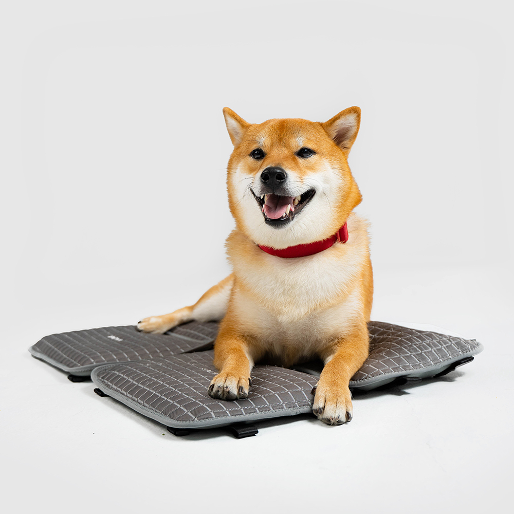 Explore︱寵物機能拼接涼墊 2.0