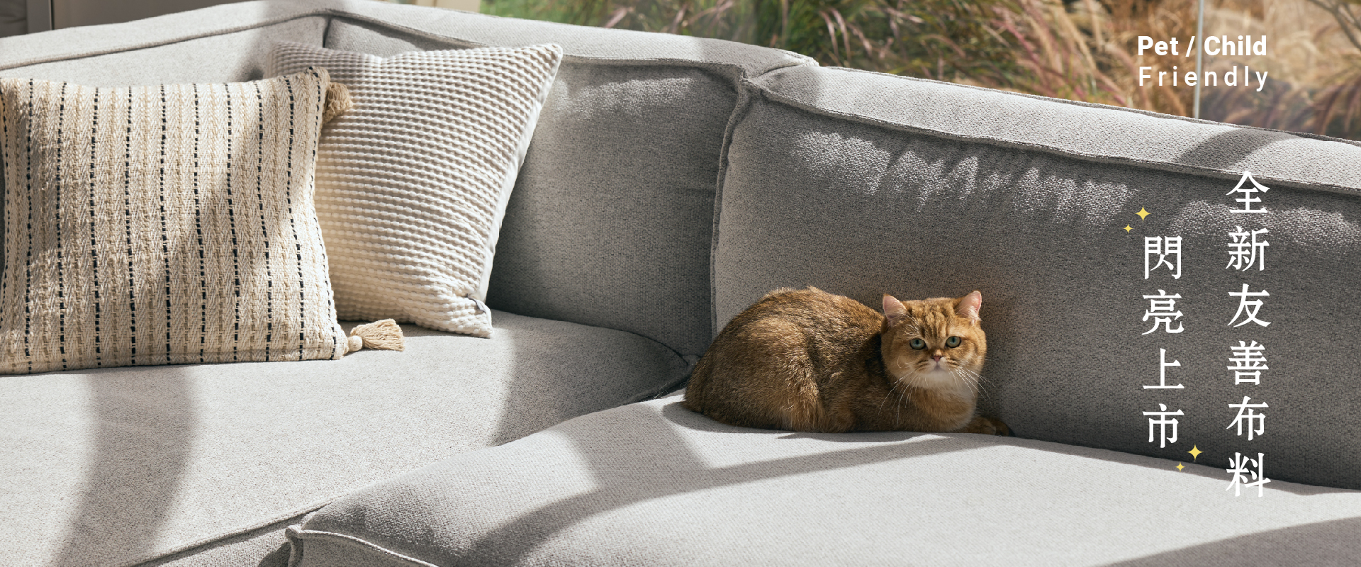 Days In 沙發全新友善布料　寵物高耐抓