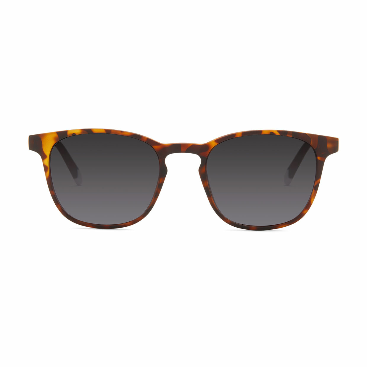BARNER | Dalston - Tortoise Sunglasses