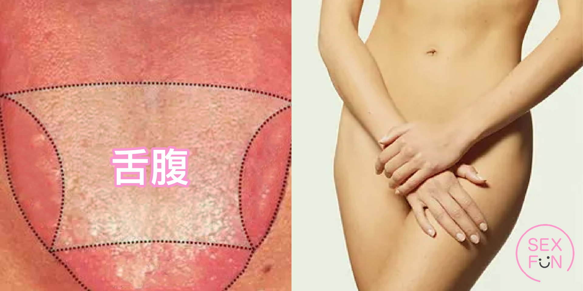 左邊是舌腹，右邊是女生裸體，女人雙手遮住私密處。