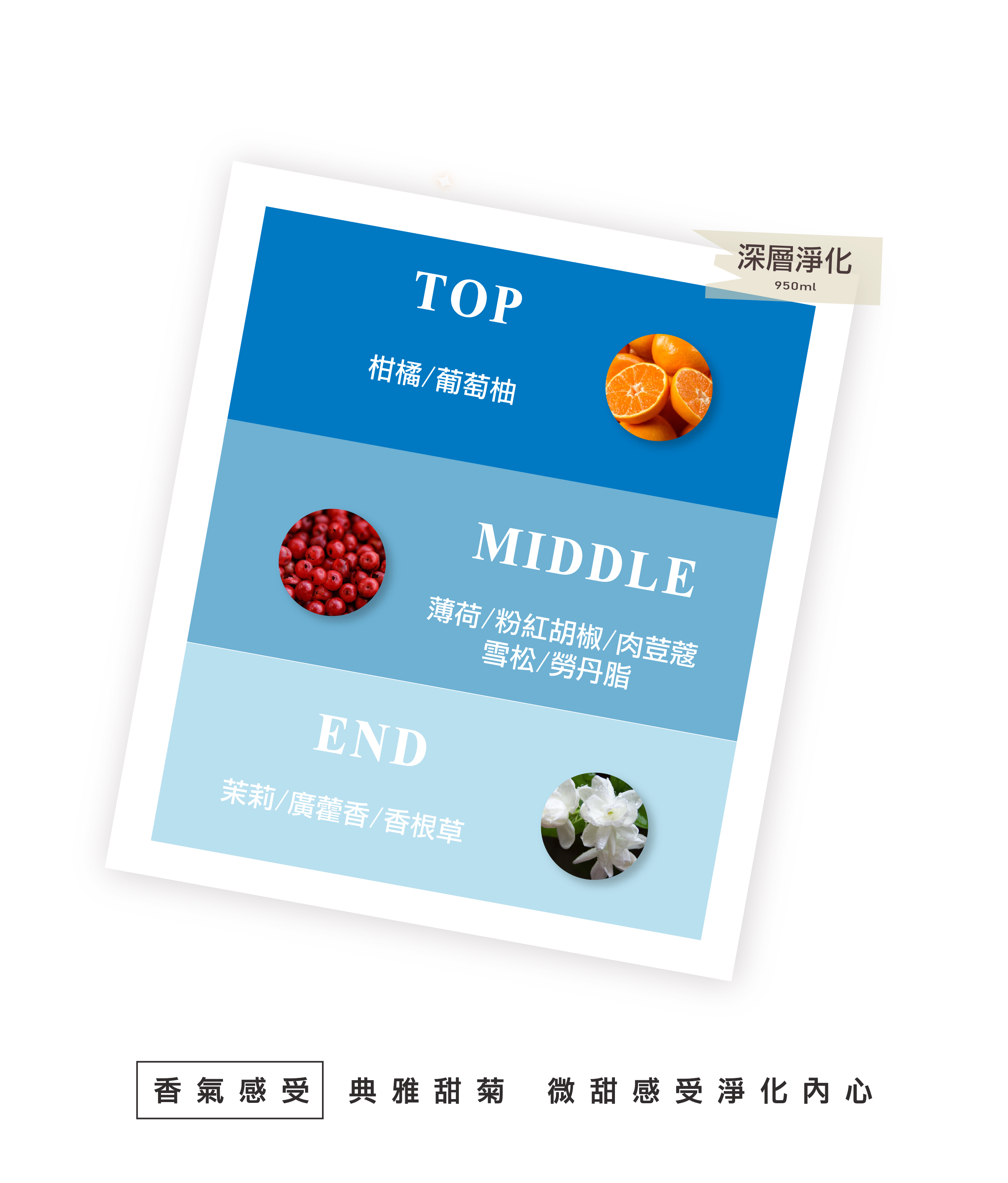 油性頭皮,保濕,深層洗髮精,無矽靈洗髮精,沙龍洗髮精,去油洗髮精,香氛洗髮精,天然洗髮精,髮廊推薦,沙龍設計師推薦,洗髮精推薦,洗髮精推薦dcard,深層淨化元素洗髮精