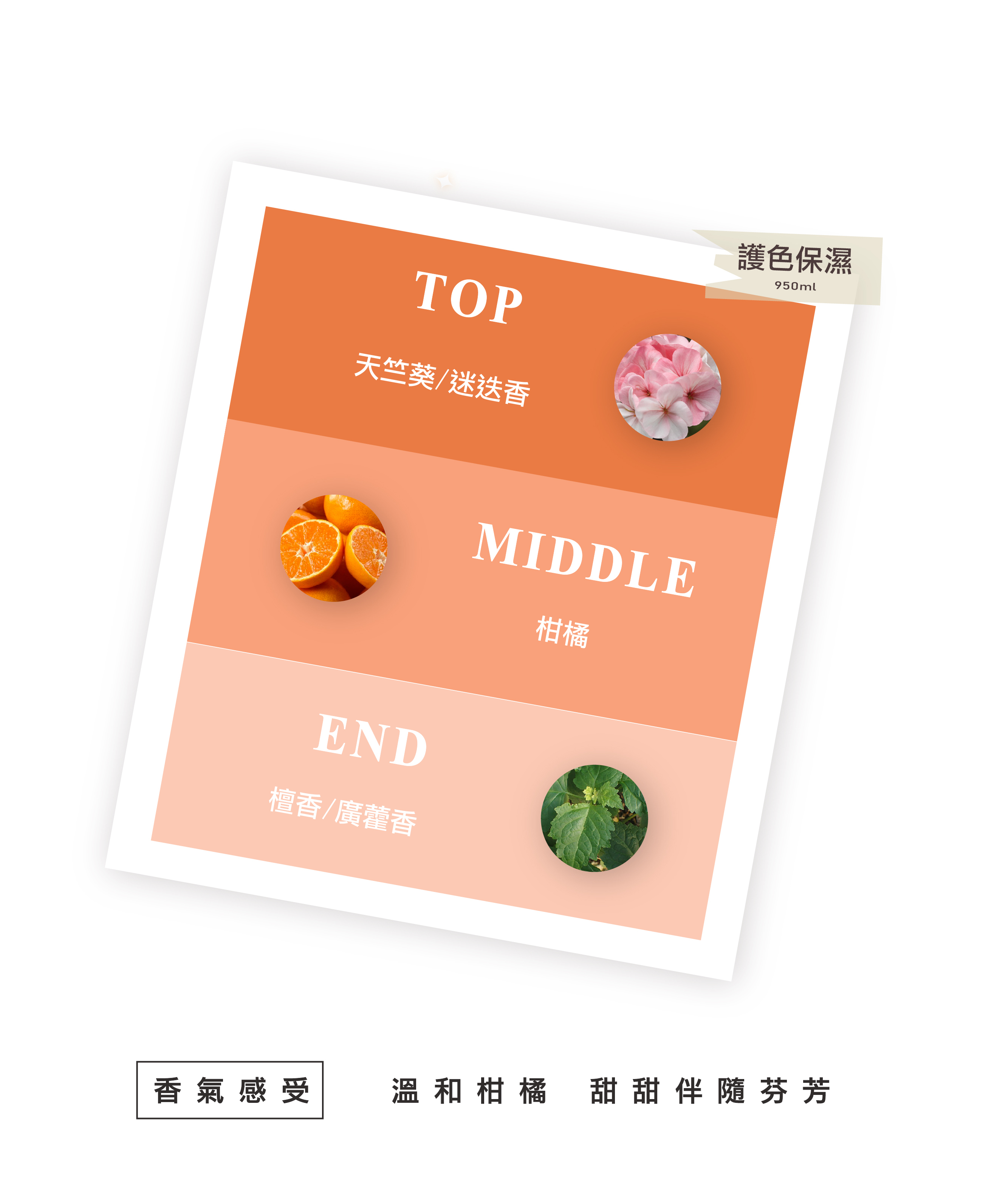 保濕護色洗髮精,柔順,光澤,保濕洗髮精,護色洗髮精,無矽靈洗髮精,沙龍洗髮精,摩洛哥油洗髮精,天然洗髮精,髮廊推薦,固色洗髮精,護色洗髮,染色洗髮精,護色洗,增色洗髮精,香氛洗髮精,沙龍設計師推薦,保濕洗髮精推薦,護色洗髮精推薦,洗髮精推薦dcard