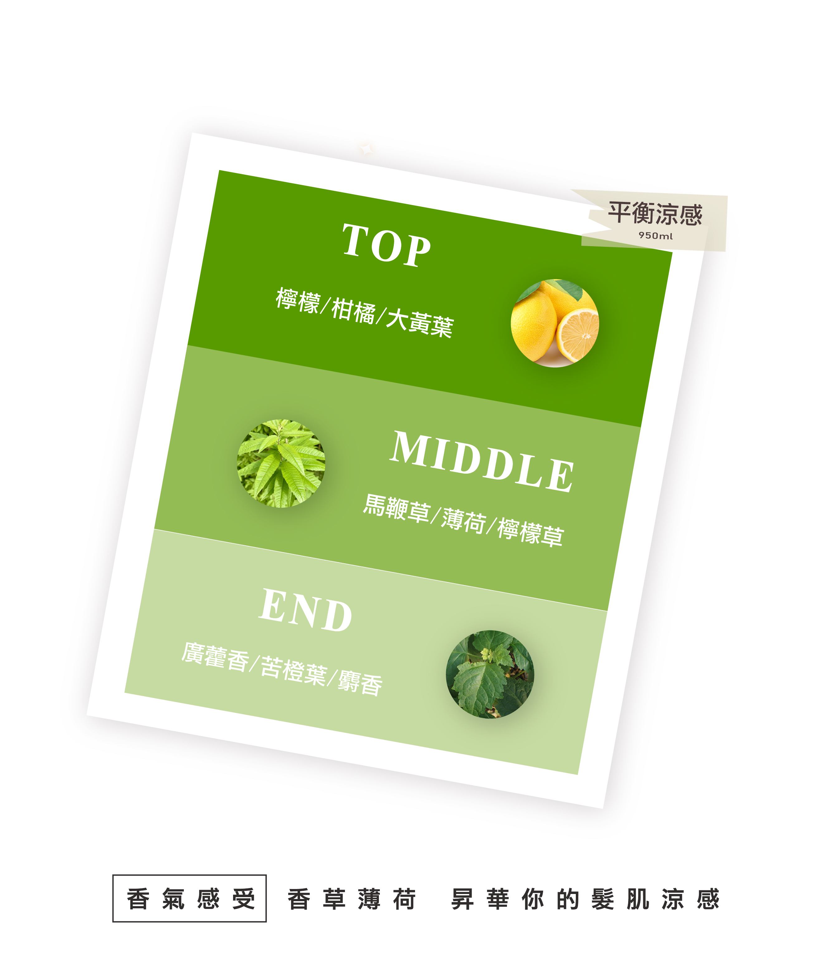 沁涼,薄荷,涼感,馬鞭草,清新,持久,出油頭皮,控油洗髮精,去屑洗髮精,無矽靈洗髮精,涼感洗髮精,馬鞭草洗髮精,艾草洗髮精,涼感洗髮精,香氛洗髮精,沙龍洗髮精,天然洗髮精,髮廊推薦,沙龍設計師推薦,控油洗髮精推薦,2022控油洗髮精推薦