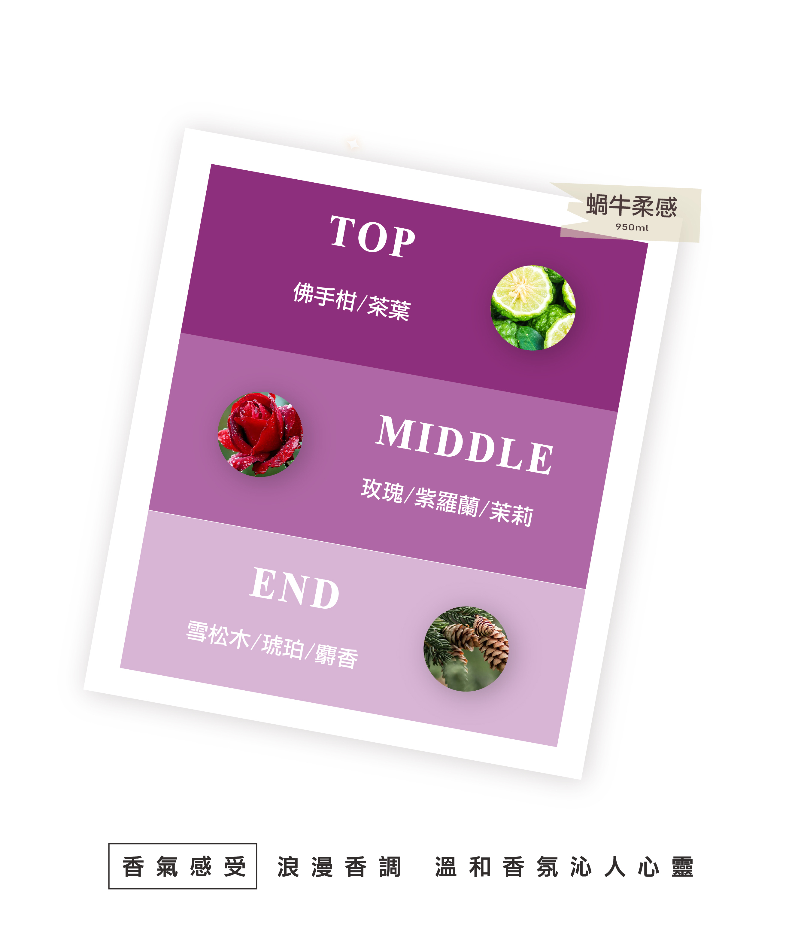 蝸牛洗髮精評價,蝸牛護髮,護髮,護髮乳,髮膜,護髮膜,沙龍護髮,深層護髮,香氛護髮,潤絲,護髮,護髮素,髮膜,哥德式護髮,京煥羽護髮,卡絲護髮,護髮素推薦,染燙後受損髮質專用,胺基酸,蠶絲蛋白,2022最新十大護髮素,蝸牛柔感元素護髮素,蝸牛護髮素