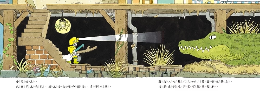 住在地下室的鱷魚