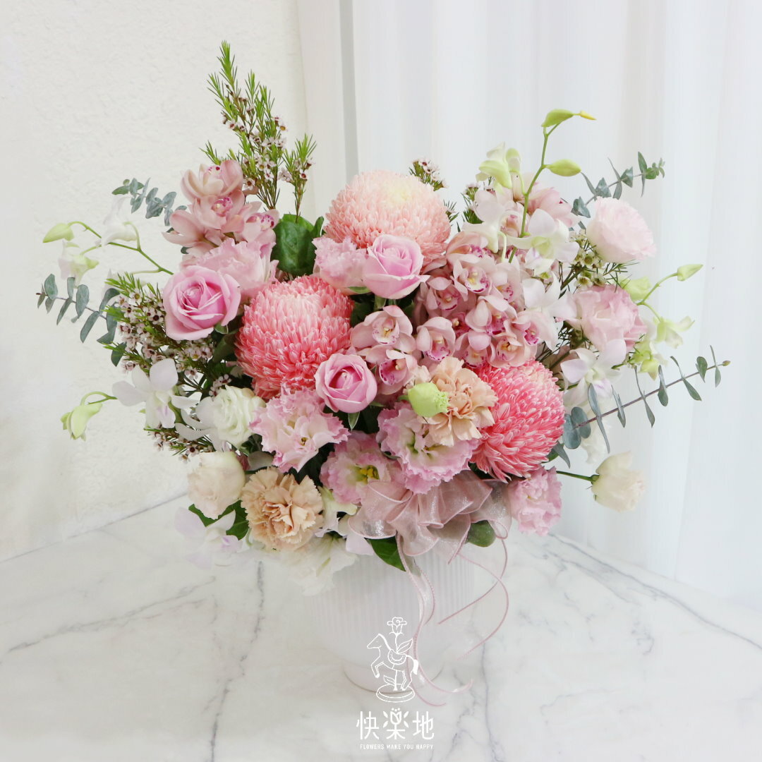 迎風飛行 I 鮮花盆花  AF240350