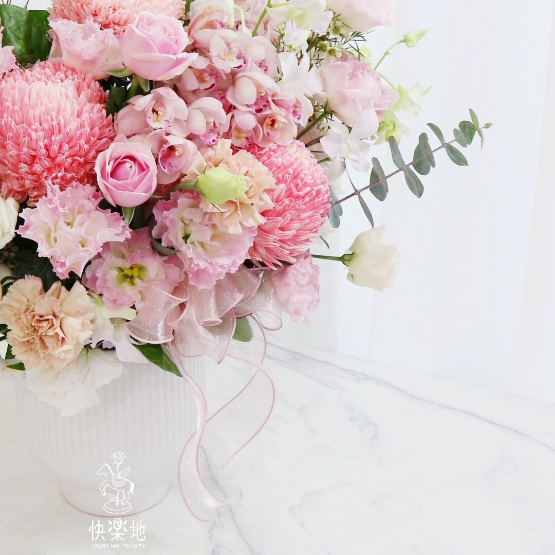 迎風飛行 I 鮮花盆花  AF240350