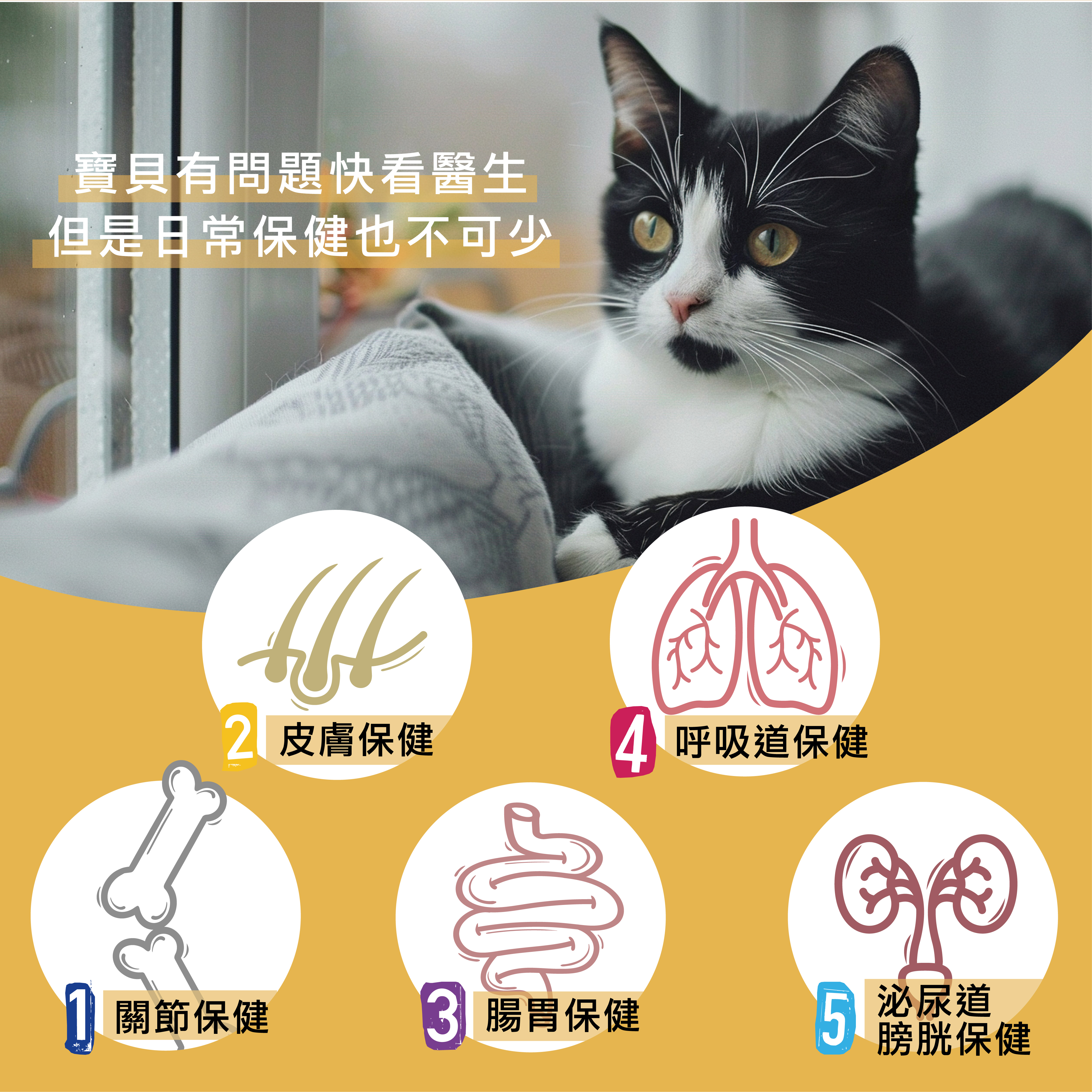 威旺貓全方位保健品可以同時保健皮膚、腸胃、關節、膀胱、呼吸道、泌尿道