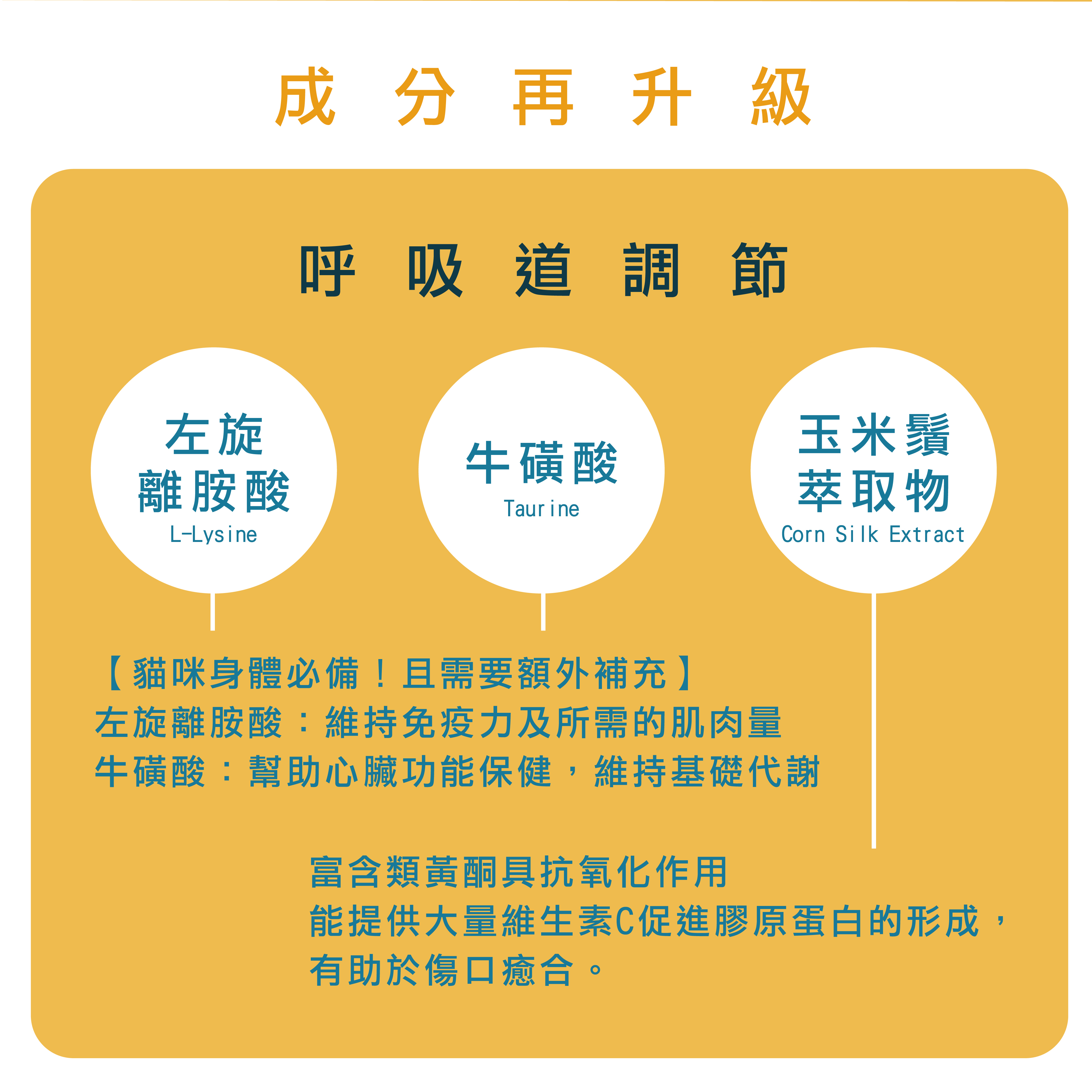 貓全方位保健品針對呼吸道添加左旋離胺酸、牛磺酸、玉米鬚萃取物