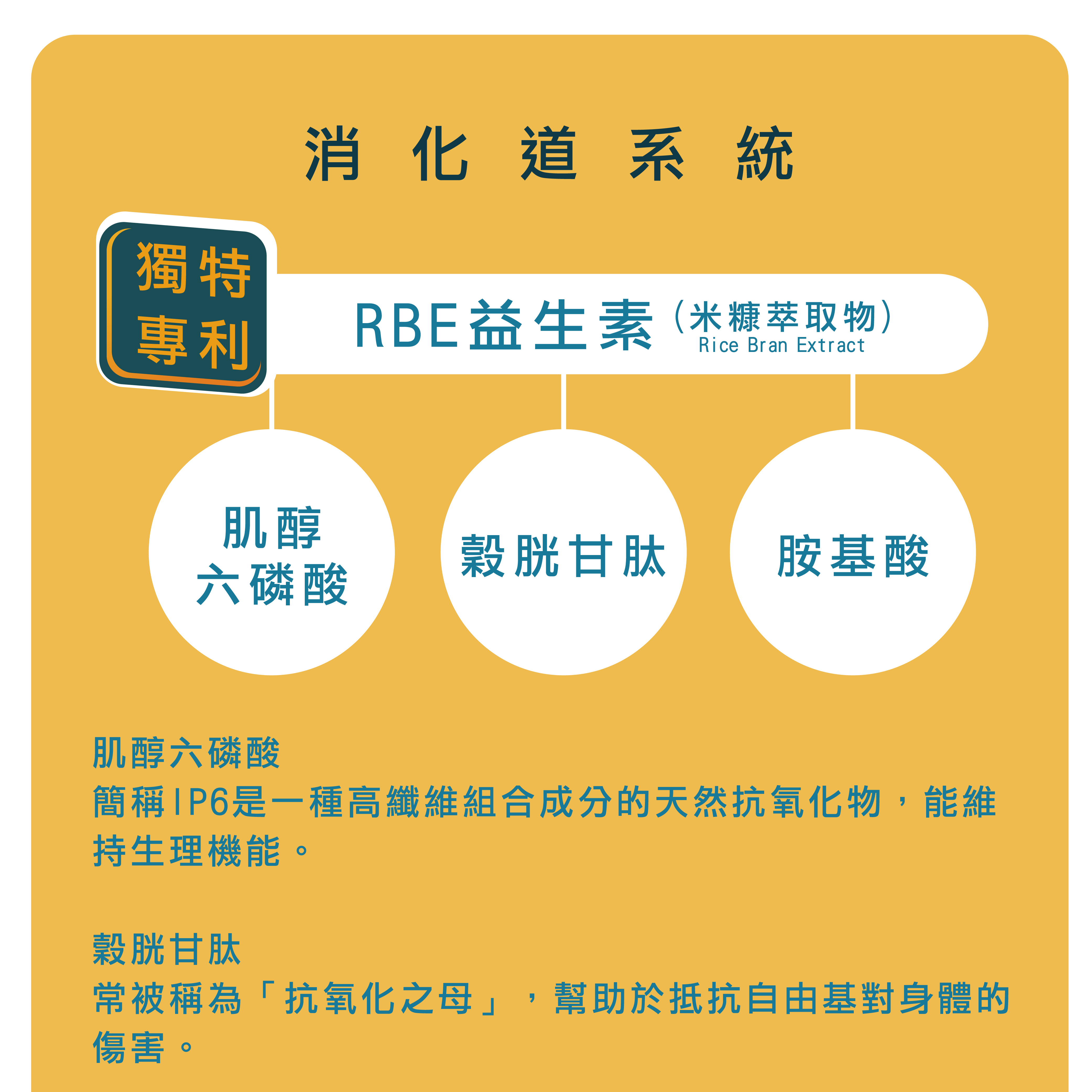 貓全方位保健品針對消化道添加肌醇六磷酸、穀胱甘肽、胺基酸