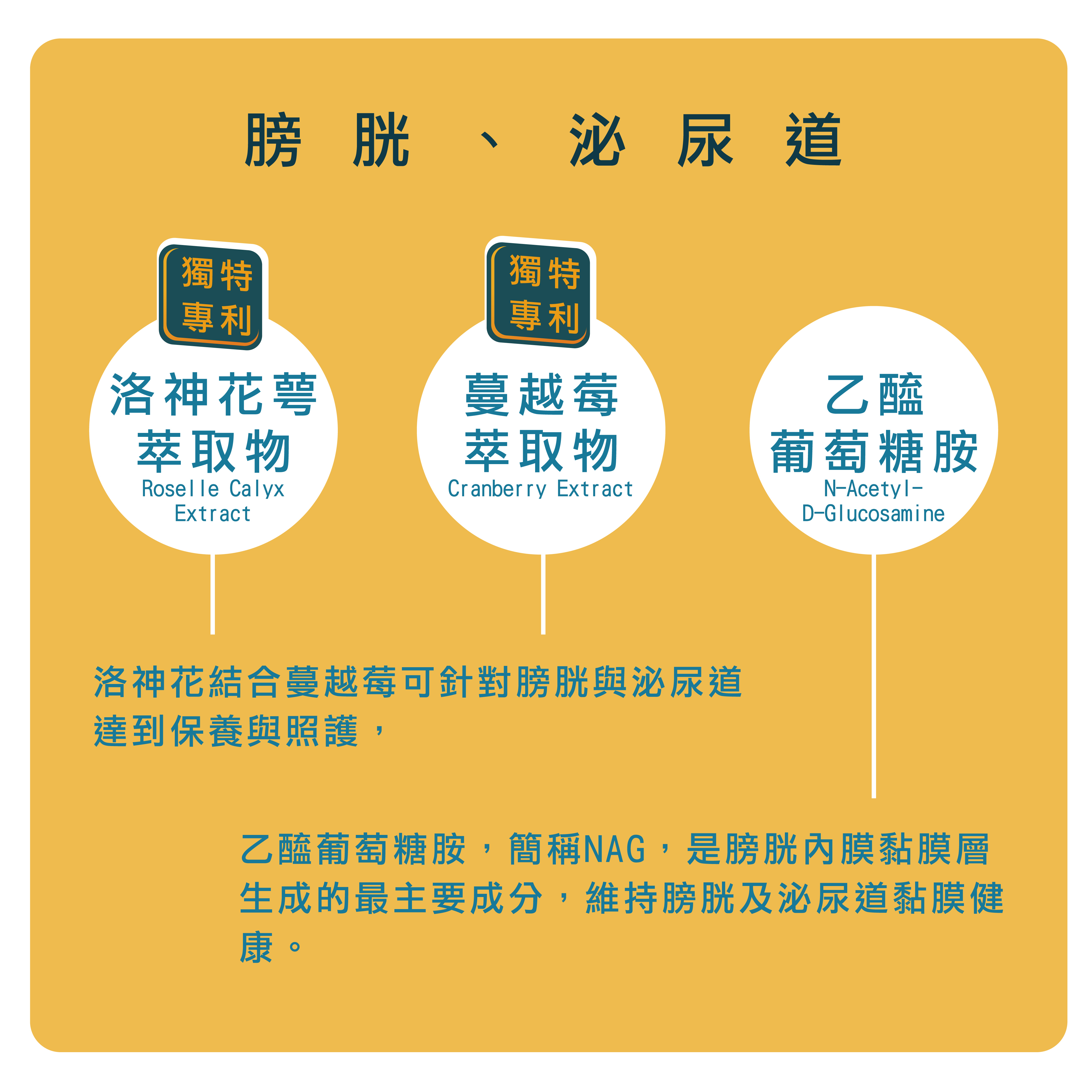 貓全方位保健品針對膀胱及泌尿道添加洛神花萼萃取物、蔓越莓萃取物、乙醯葡萄糖胺