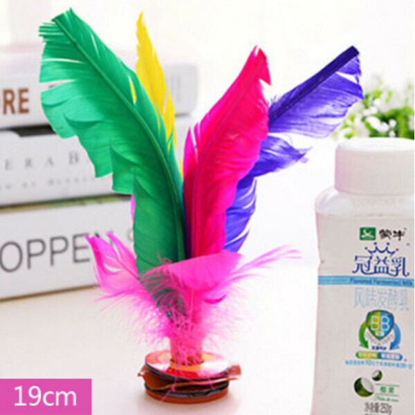 Fitness Feather Keys Shuttlecock Kick (19cm)