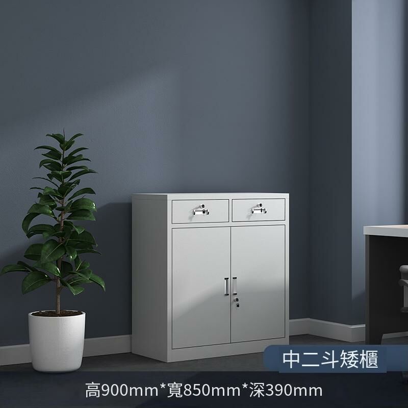 爆款鐵皮收納櫃資料檔案櫃(中二斗矮櫃 1.4mm)